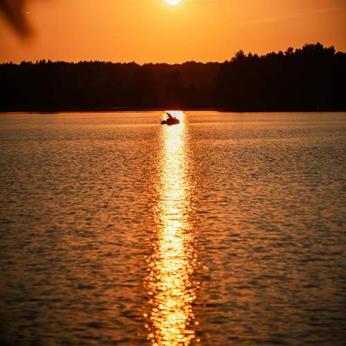 Photo #13239600