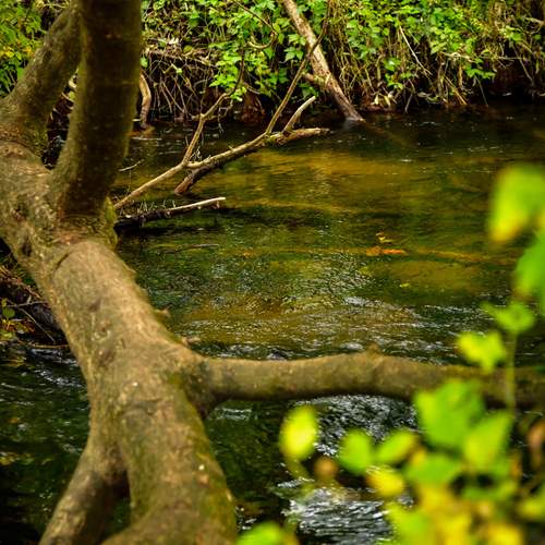 Photo #13239723