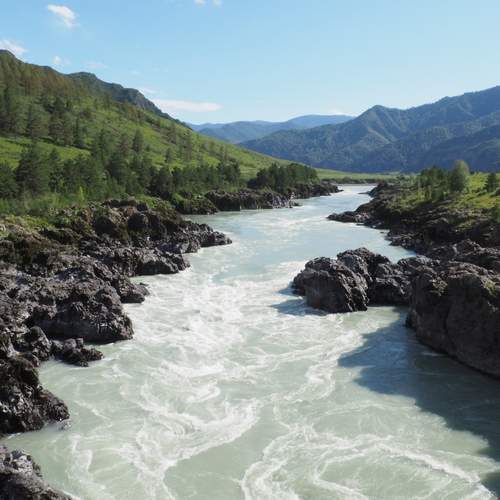 Photo #13239774