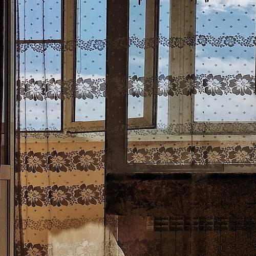 Photo #13239779