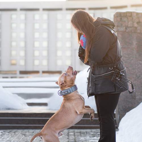 Photo #13239792