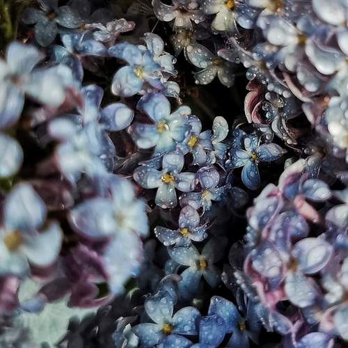Photo #13239807