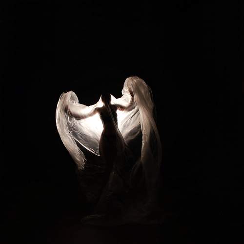 Photo #13239841