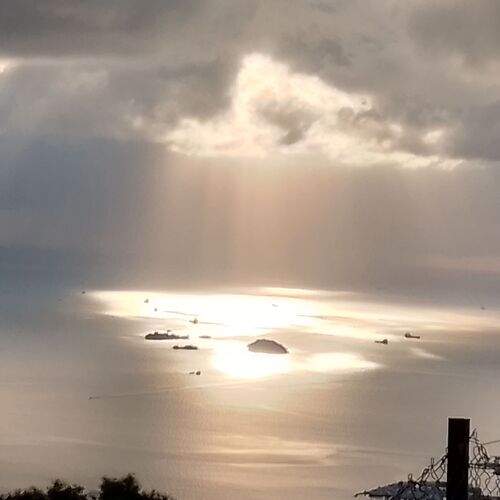 Photo #13239875