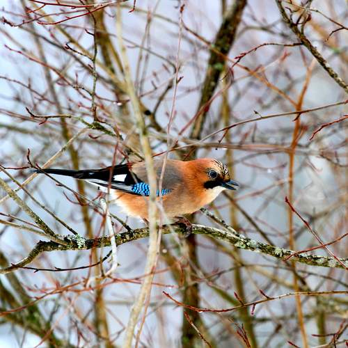 Photo #13239939