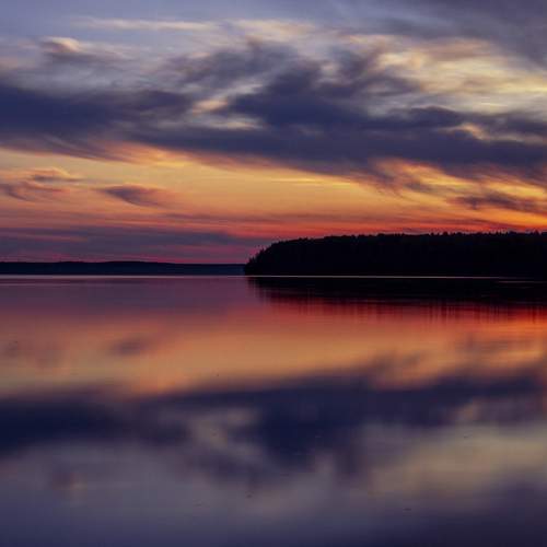 Photo #13240094
