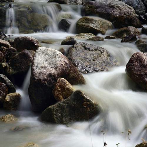 Photo #13240138
