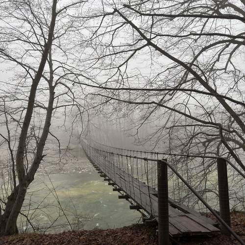 Photo #13240283