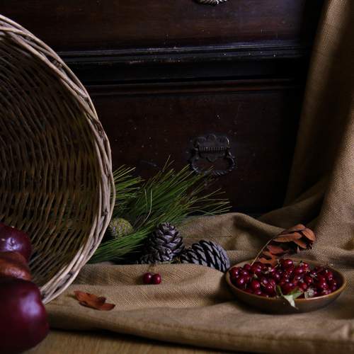 Photo #13240294
