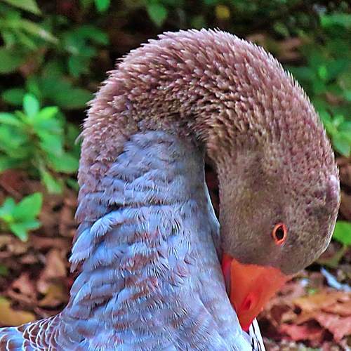 Photo #13240331