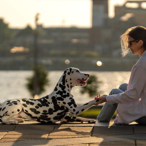 Фотография #13240552