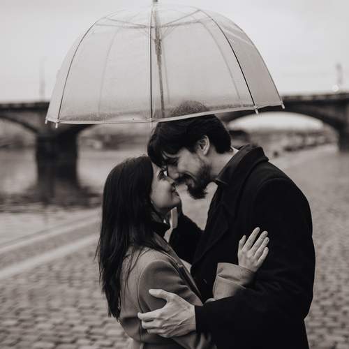 Photo #13240553
