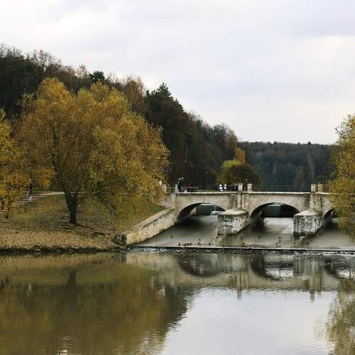 Photo #13240590