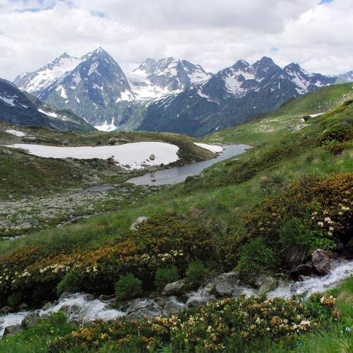 Photo #13240632