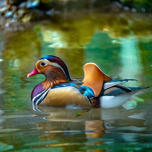 Фотография #13240637