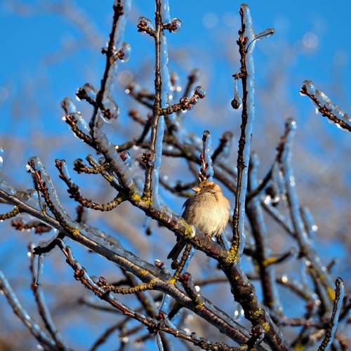 Photo #13240721