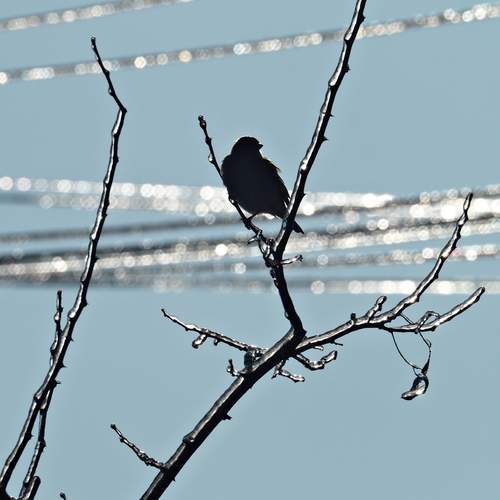 Photo #13240724