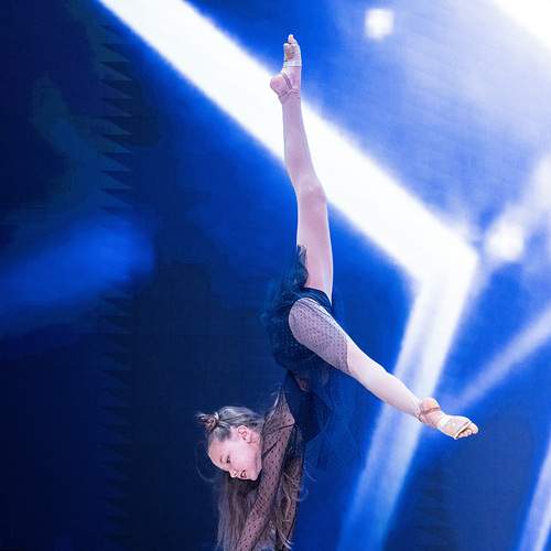 Photo #13240734