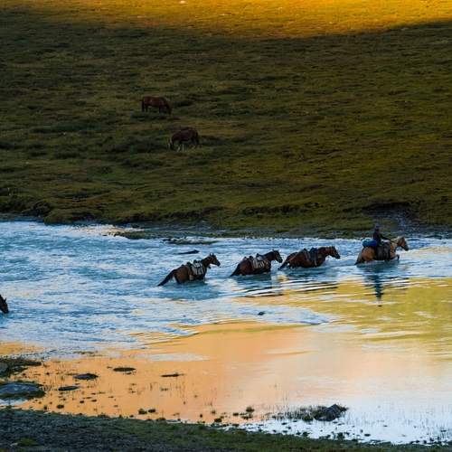 Photo #13240750