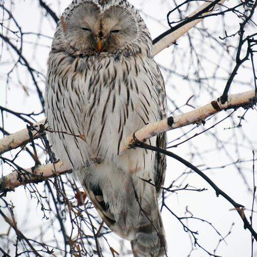 Photo #13240844