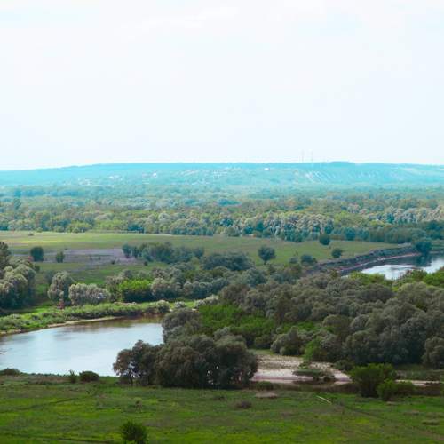 Фотография #13240940