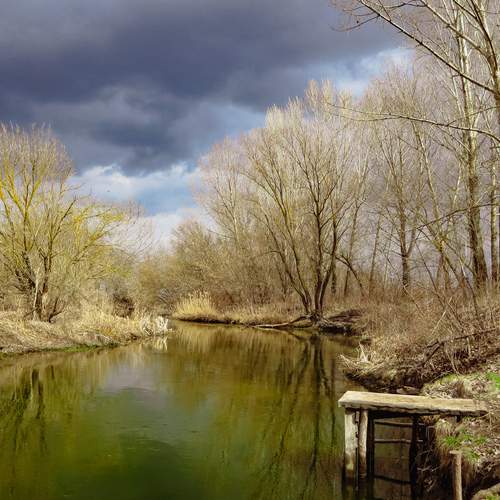 Фотография #13240950