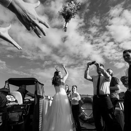 Photo #13240984