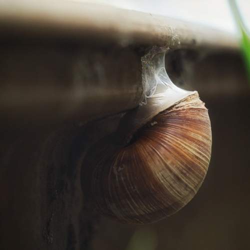 Photo #13241018