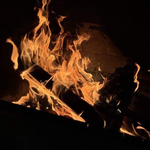 Photo #13241019