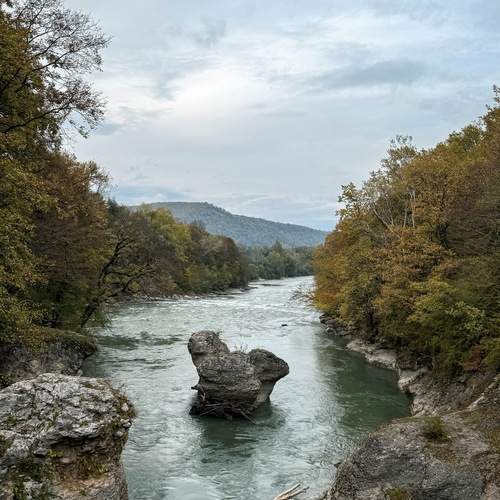 Photo #13241029