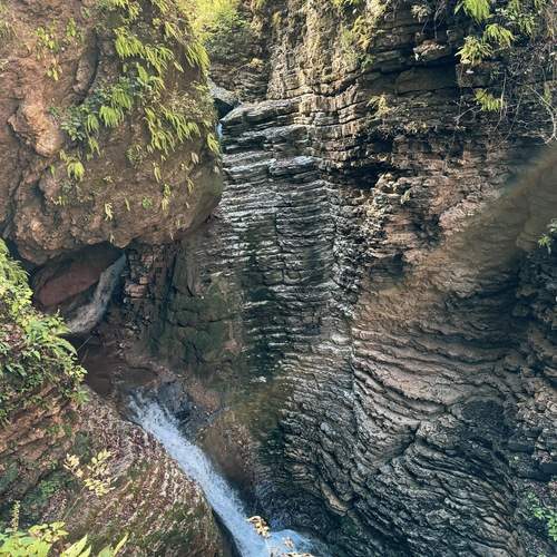 Photo #13241033