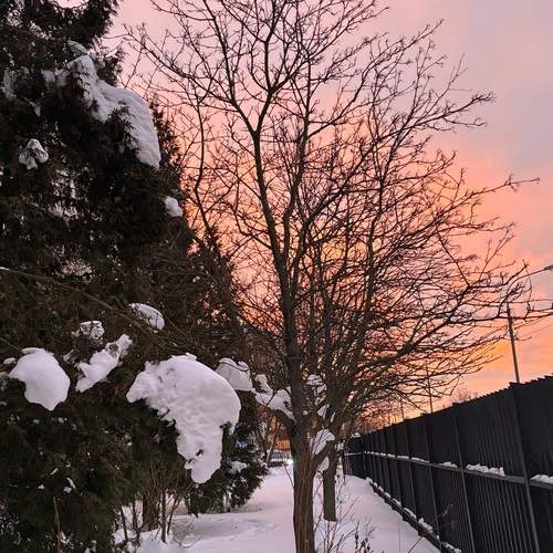 Photo #13241186