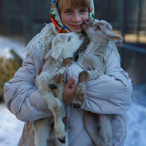 Photo #13241255