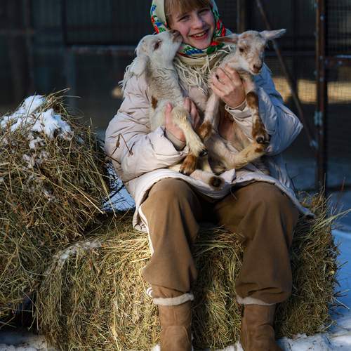 Photo #13241289