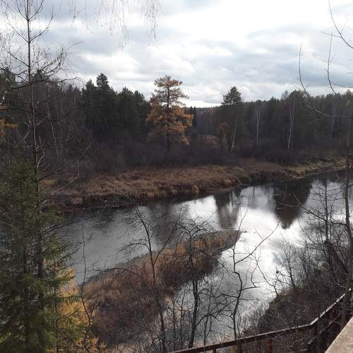 Photo #13241438