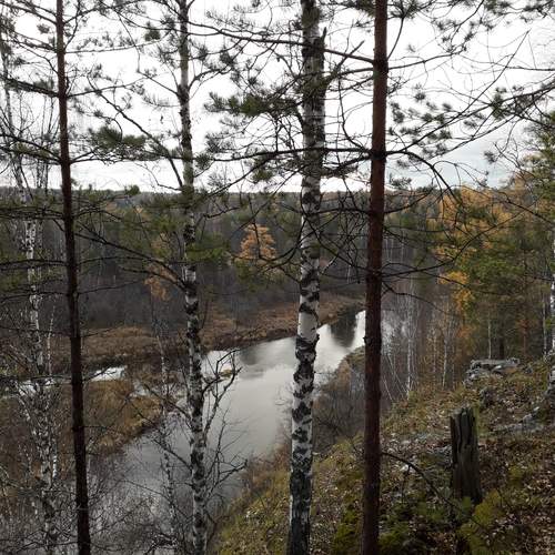 Photo #13241492