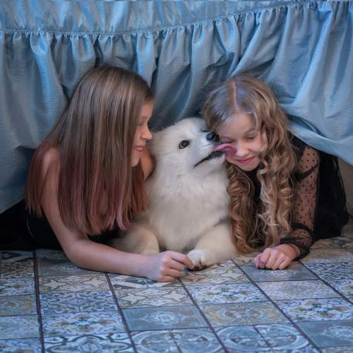 Photo #13241566