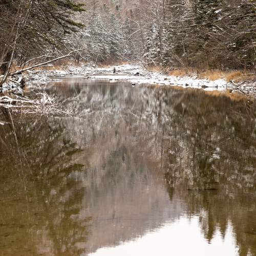Photo #13241710