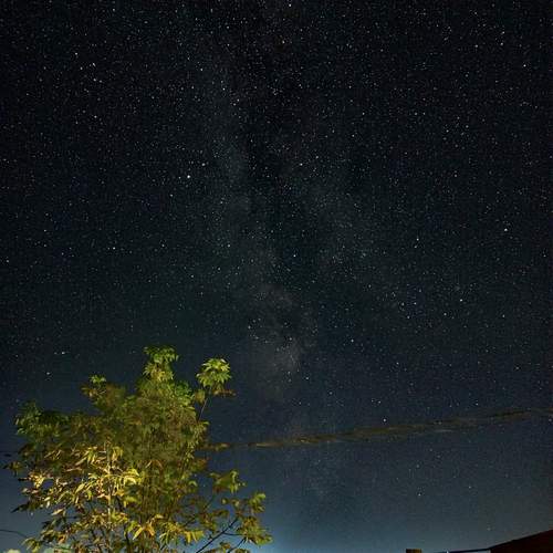 Photo #13241749