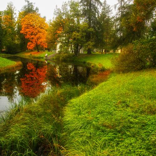 Photo #13241824