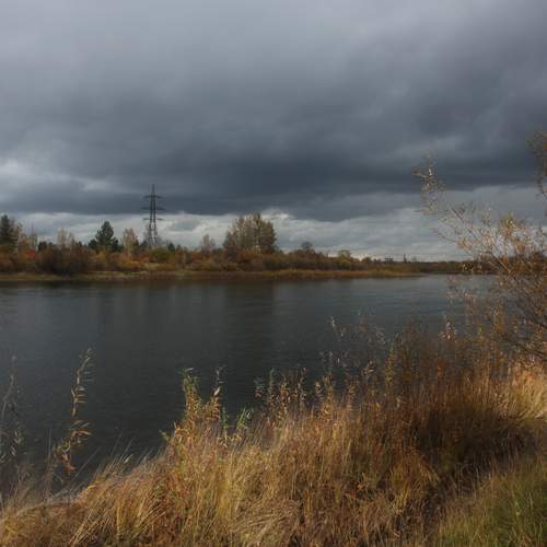 Photo #13241830