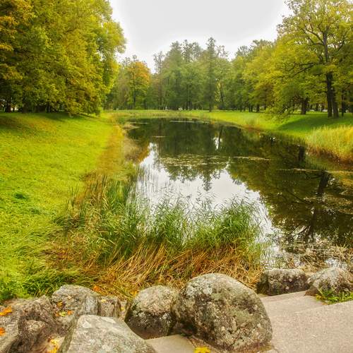 Photo #13241832