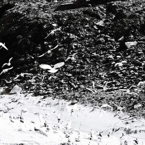 Photo #13241839