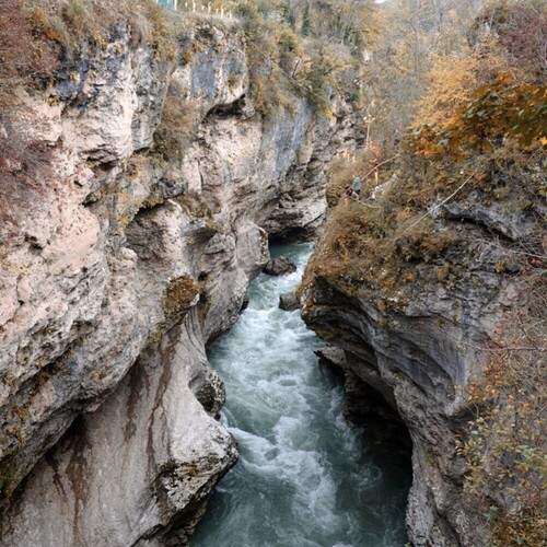 Photo #13241884
