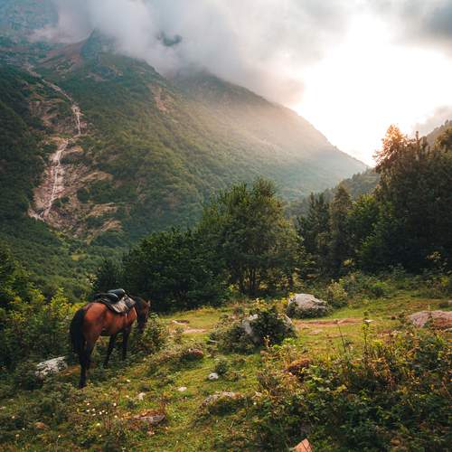 Photo #13242053