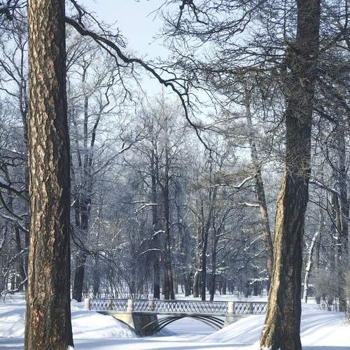 Photo #13242157