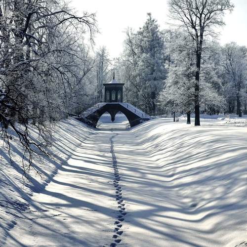 Photo #13242159