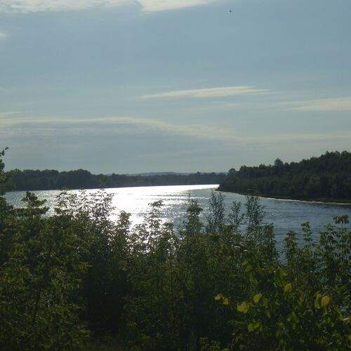 Photo #13242255