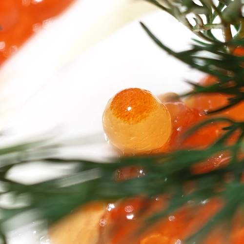 Photo #13242331