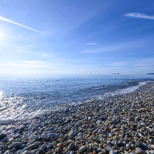 Photo #13242343